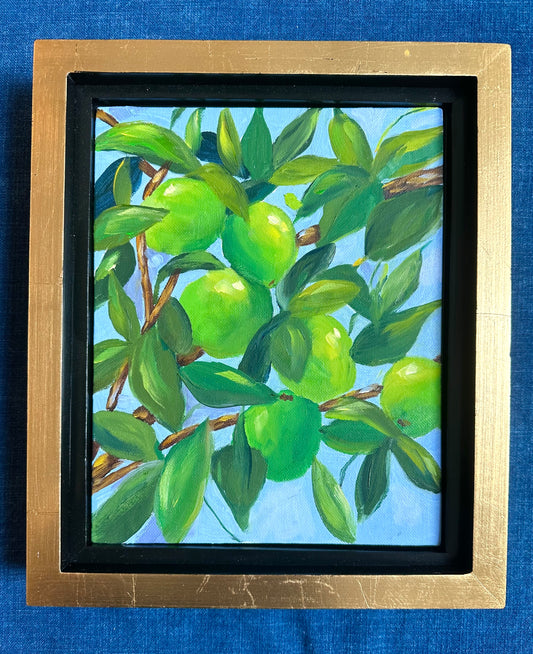 Summer Limes SOLD