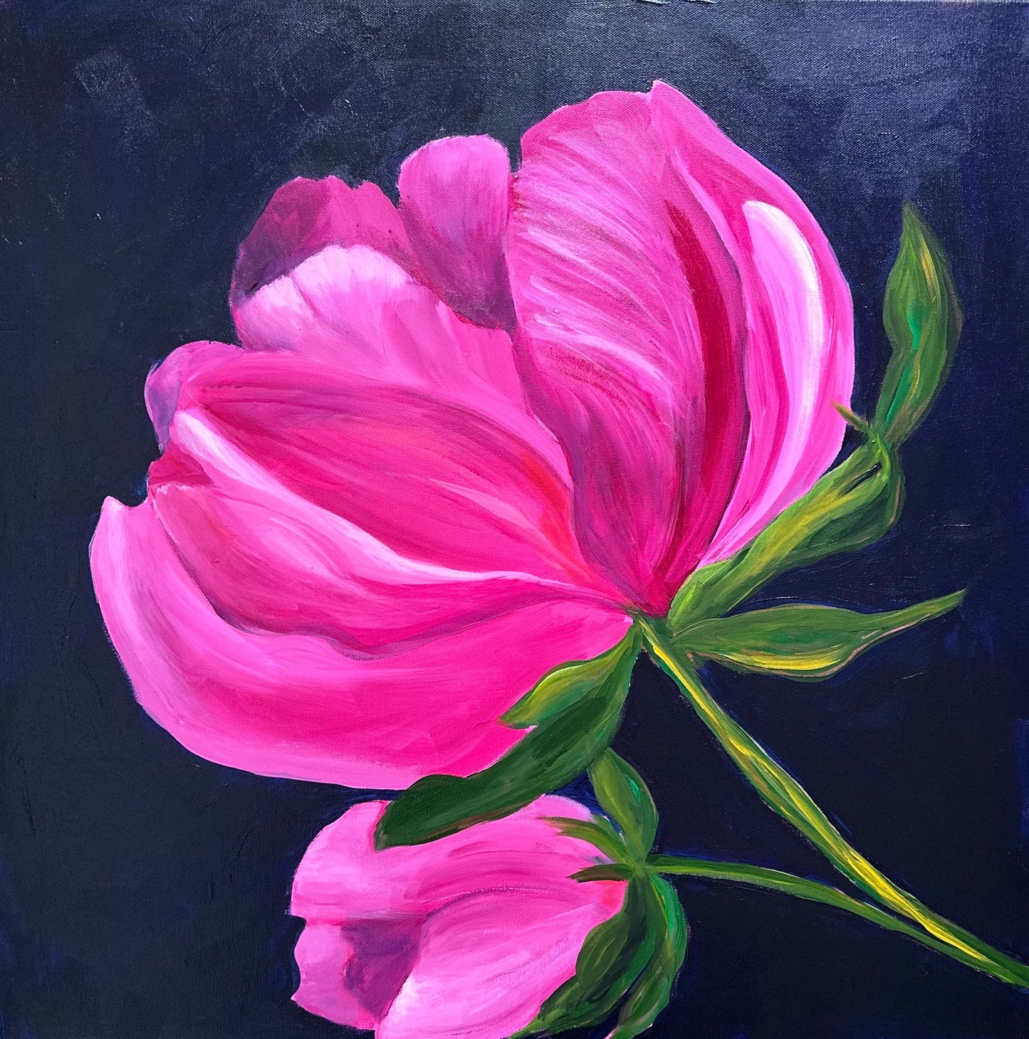 Full of Grace Peony