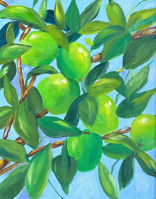 Summer Limes SOLD