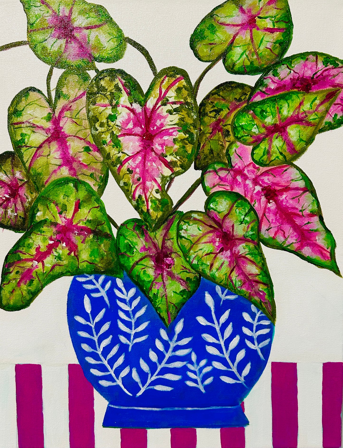 Rhythm and Blooms Caladiums
