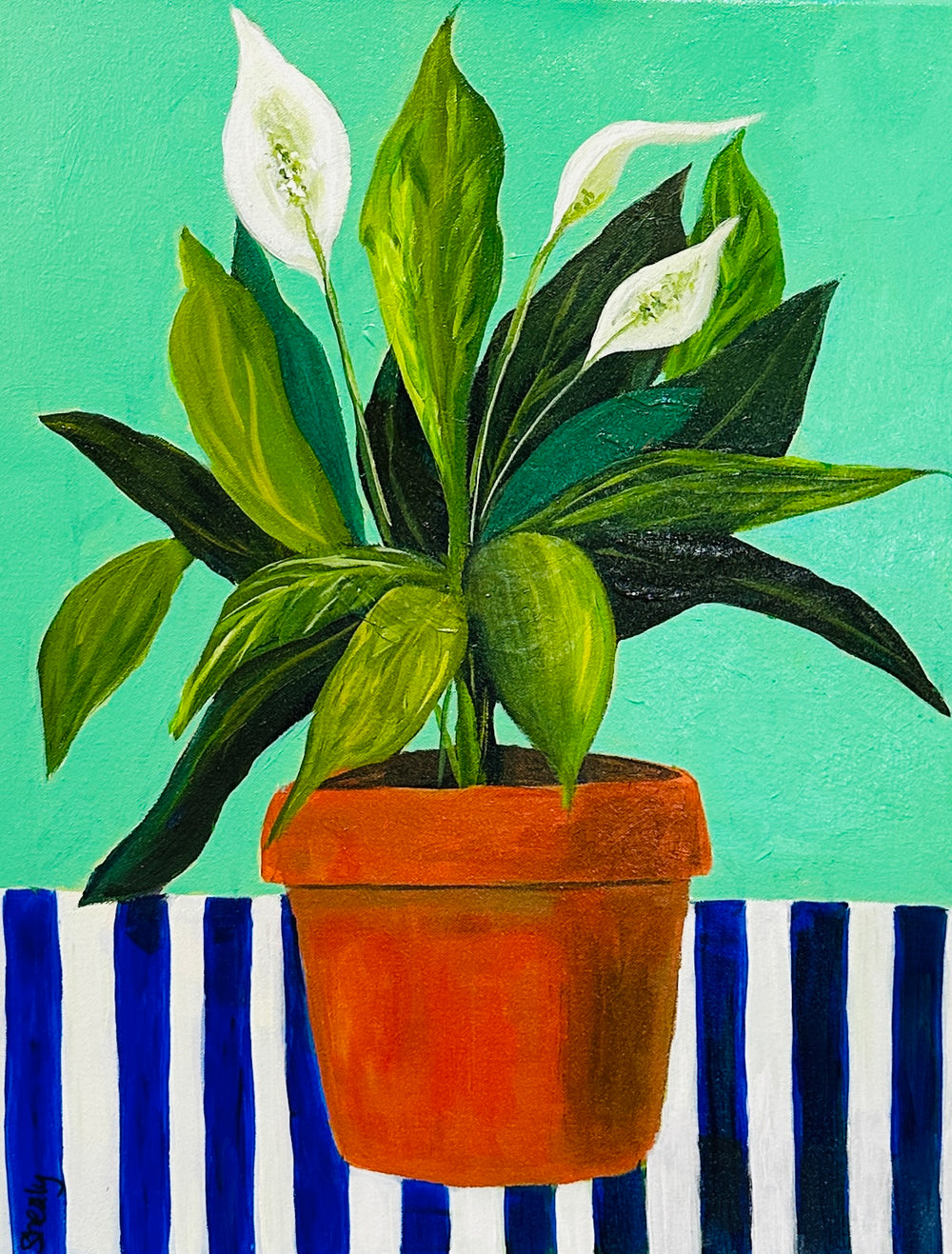Rhythm and Blooms Peace Lily