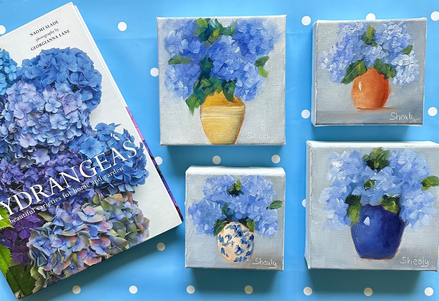 Mini Hydrangeas 4x4